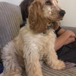Colin Bee - @colinbee1 - Instagram
