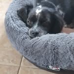 Colin Benson - @colinbenson410 - Instagram