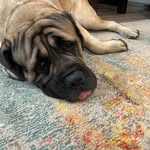 Colin Benson - @colin_benson - Instagram