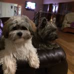 Colin Bergin - Facebook