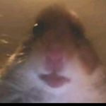 Colin Best - @colin.best.982 - Instagram