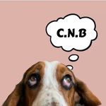 Colin - @colin_nose_best - Instagram