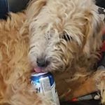 Colin Betts - @colin.betts.9 - Instagram