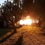 Colin Bevis - Facebook