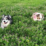 Colin Beyer - @colinbeyer - Instagram