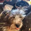 Colin Billing - @colin.billing6 - TikTok