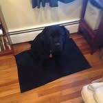 Colin Billings - @billings_colin - Instagram