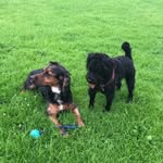 Colin and Billy - @colinandbilly - Instagram