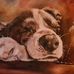 Colin Binnie - Facebook