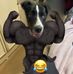 Colin Binnie - Facebook