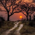 Colin Bishop - @colinbishop263 - Instagram