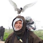 Colin Bishop - @countrysidecolin - Instagram