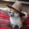 Colin Bishop - @k.i.d._bishop - TikTok
