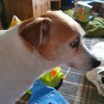 Colin Blackburn - @colin.blackburn.777 - Instagram