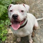 Colin Blackburn - @blackburn.colin78 - Instagram