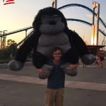 Colin blakemore - @colin27_blake23 - Instagram