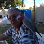 Colin Blatchford - Facebook