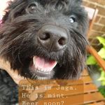 Colin Bond - @col.bond - Instagram
