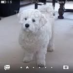 Colin Booth - @booth7550 - Instagram