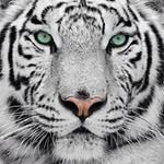 Colin - @colinj.bosch1972 - Instagram