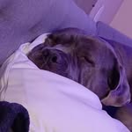 Colin bowman - @colinbowman28 - Instagram