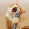 Collin Boyce - @collinboyce0 - TikTok