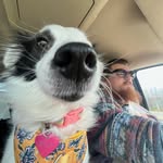 Colin Boylan - @cboylan_ - Instagram