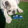 colinbranson537 - @colinbranson537 - TikTok