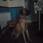 Colin Bratcher - Facebook