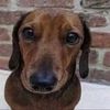 colinbrazierpr442 - @colinbrazierpr442 - TikTok