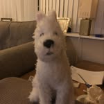 Colin Bridges - @colin.bridges.902 - Instagram