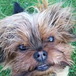 Colin Bright - @colinbright70 - Instagram