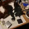 Colin Broadbent765 - @ogreous - TikTok
