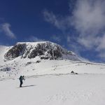 Colin Bruce - @colinbruce63 - Instagram