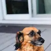 colinbudd577 - @colinbudd577 - TikTok