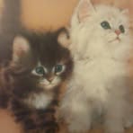 Colin Burroughs - Facebook