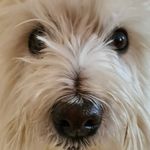 Colin Burrows - @colin_burrows - Instagram