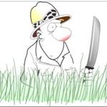 Colin Bush Garden Machinery - @colinbushmachinery - Instagram