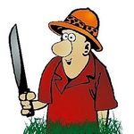 Colin Bush Garden Machinery - @machinerycolinbush - Instagram