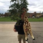 Colin Bussert - @colin.bussert - Instagram