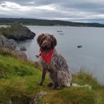 Colin Buxton - @colinjbuxton - Instagram
