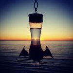 Colin Cabral - @gnarly_cc - Instagram