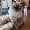 Colin cain - @colin.cain2 - TikTok