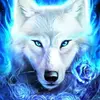 Colin Cannon - @colin.cannon1 - TikTok