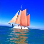 Colin Chalmers - @colin.chalmers - Instagram