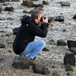 Colin John Chandler - @cjc_fotowildlife - Instagram