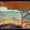 colin charles - @colin.charles60 - TikTok
