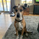 Colin Chase - @colinchase50 - Instagram