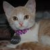 Colin Chenoweth - Facebook