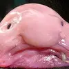 colinchew997 - @colinchew997 - TikTok